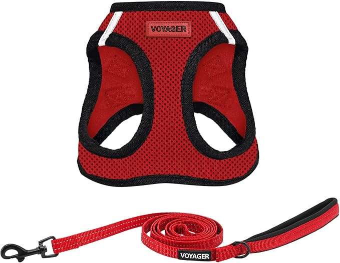 Best Pet Supplies Voyager Step-in Air All Weather Mesh Harness and Reflective Dog 5 ft Leash Combo with Neoprene Handle, for Small, Medium and Large Breed Puppies - Red/Black Trim, Large