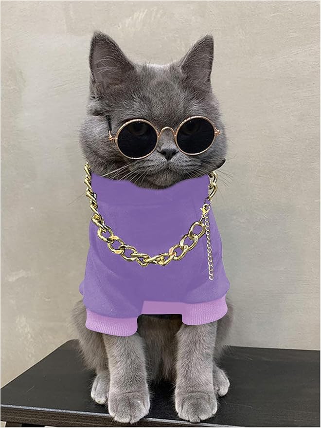 QWINEE 3Pcs Dog Hoodie Cat Apparel Dog Custume Set with Necklace and Sunglasses Pet Clothes for Puppy Small Medium Dogs Cats Mauve Purple Small