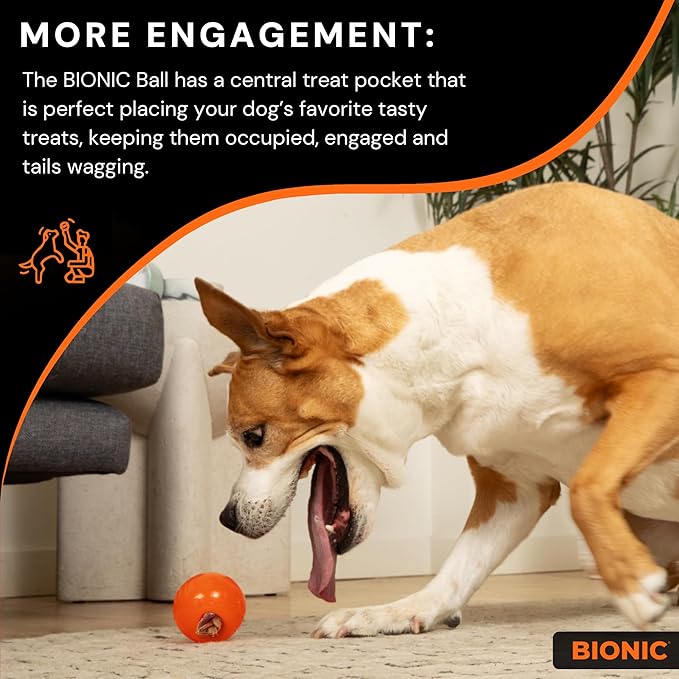 BIONIC Ball Dog Toy, Large - Interactive Dog Chew Toy That Stands Up to The Toughest Chewers, for Dogs Between 30-60+ lbs. (13-27+ kg.)