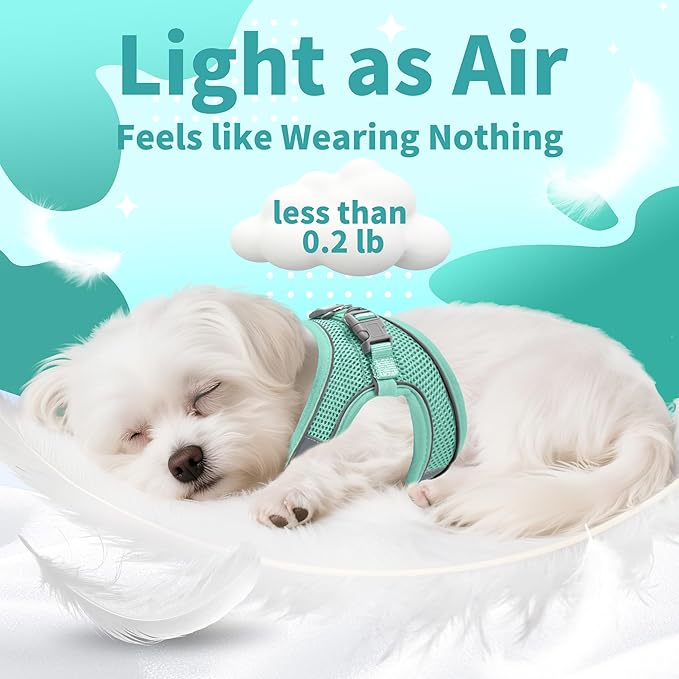 AIITLE Small Harness for Puppy with A Leash - Dog Vest Harness with Super Breathable Mesh, Reflective No-Pull Pet Harness for Outdoor Walking, Running for Small Dogs, Cats Pure Turquoise XXS