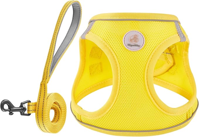 Hipubby Dog Harness and Leash Set, No Pull Soft Mesh Puppy Harness for Small Medium Dogs, Cats - Step in Reflective Breathable Lightweight Vest Harness for Walking, Training - Yellow, S