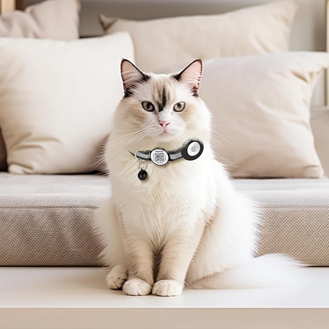 Cat Collar with Name Tag Breakaway: Kitten Collars for Girl Boy Cats with Smart Name Tags, Ultra Soft & Elastic Adjustable (7"-12") Cat Collar with Break Away Safety Buckle (Pink)
