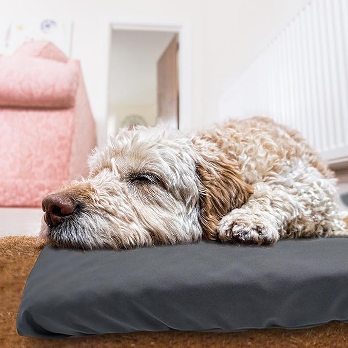 Dog Bed Cover Waterproof Replacement Machine Washable Covers for Dog Bed Heavy Duty Scratch Resistant Mattress Protector Pet Bed 41x27 Inch Grey Cover Only