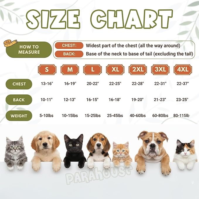 Personalized Dog Hoodie, Custom Embroidered Name Pet Hoodie, Warm Winter Outfit for Dogs, Pet Clothes, Gift for Dog Lovers 1