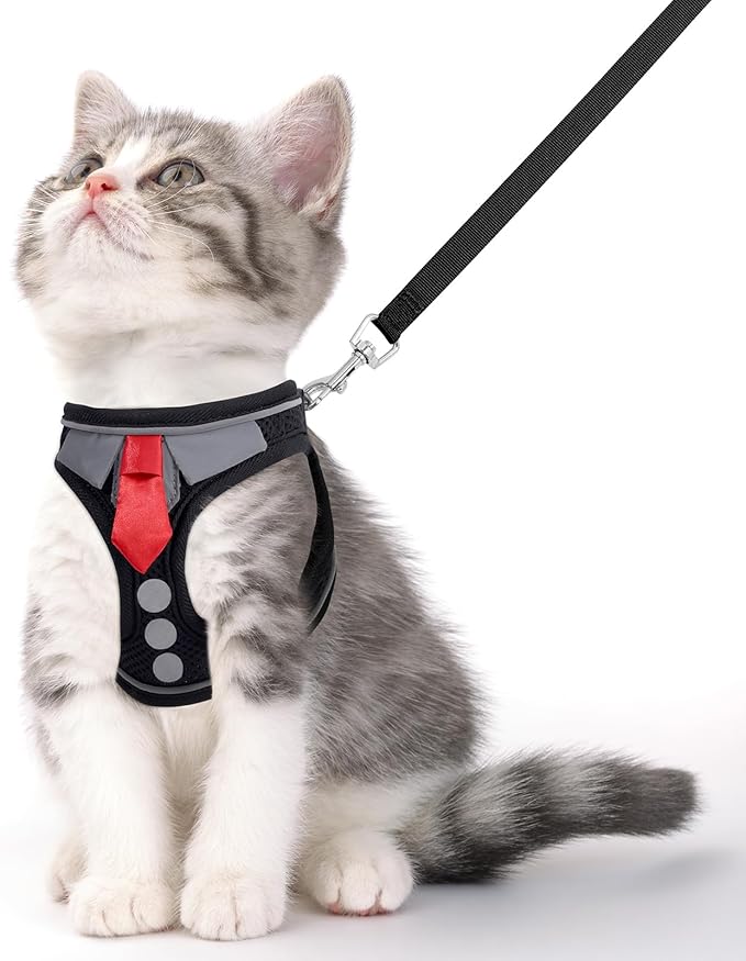 Cat Harness and Leash Set for Walking Escape Proof, Soft Adjustable Kitten Harness Breathable Mesh with Reflective Strips Harness for Kitty Puppy Bunny (Black, Medium)