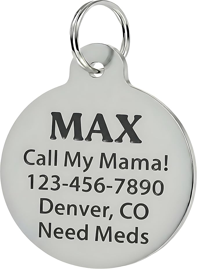 Bad Tags Personalized Dog and Cat ID Tags in 25+ Designs and 2 Sizes - 5 Lines of Custom Engraved Text - Funny Cute Personalized Pet Tags (Invader of Personal Space - Black, Small (1 inch))