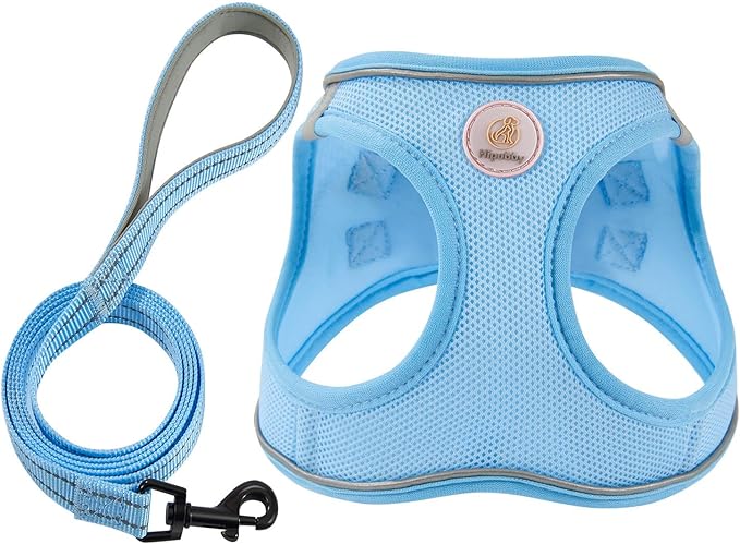 Hipubby Dog Harness and Leash Set, No Pull Soft Mesh Puppy Harness for Small Medium Dogs, Cats - Step in Reflective Breathable Lightweight Vest Harness for Walking, Training - Blue, XS