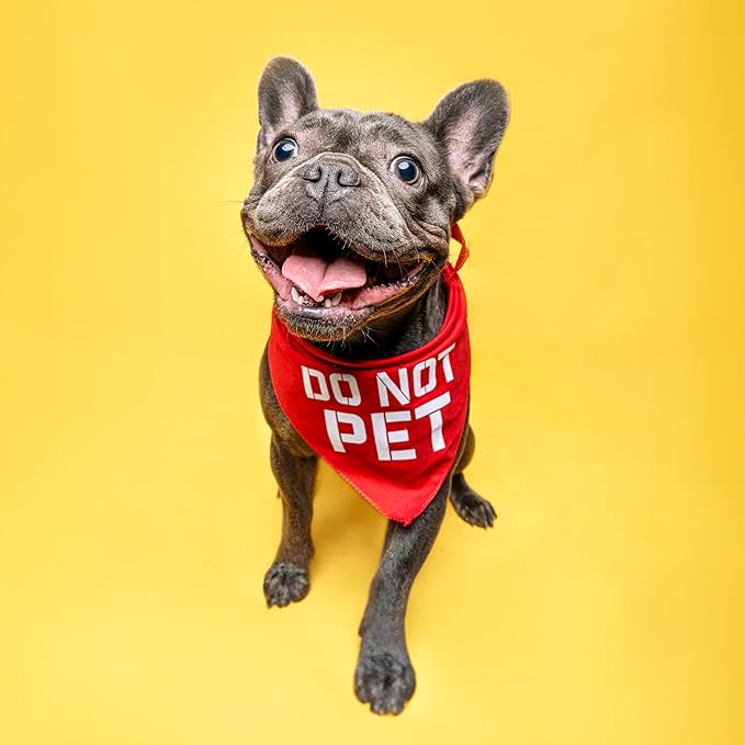 Do Not Pet Dog Bandana (Royal, OS 157)