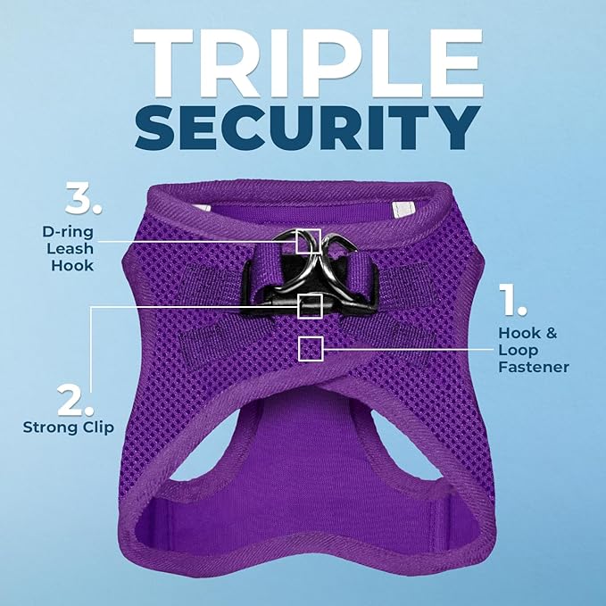 Best Pet Supplies Voyager Step-in Air All Weather Mesh Harness and Reflective Dog 5 ft Leash Combo with Neoprene Handle, for Small, Medium and Large Breed Puppies - Harness Leash Set (Purple), XXS