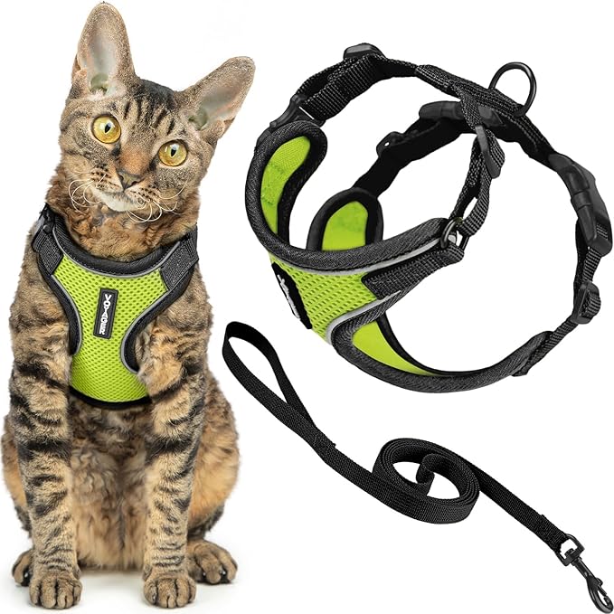 Voyager Escape-Proof Step-in Lock Cat Harness & 5ft Neoprene-Handle Leash Set All-Weather Mesh with Reflective Stitching for Small to Large Cats by Best Pet Supplies, Black Trim-Lime (327), XXXS