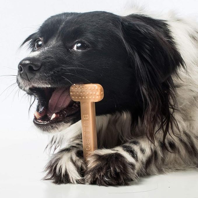 Bullibone Nylon Dog Chew Toy for Aggressive Chewers - Dental Hygiene Bone with Peanut Butter Flavor, Durable Tough Chew Toys for Small Dogs, Indestructible Dog Bone - 3 Pack