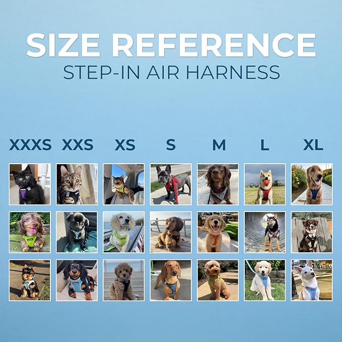 Best Pet Supplies Voyager Step-in Air Harness - All Weather Mesh, Reflective, No Pull Harness for Dogs, Cats - Secure with Hook & Loop Fastener, Buckle, Double D-Rings - Pink, L