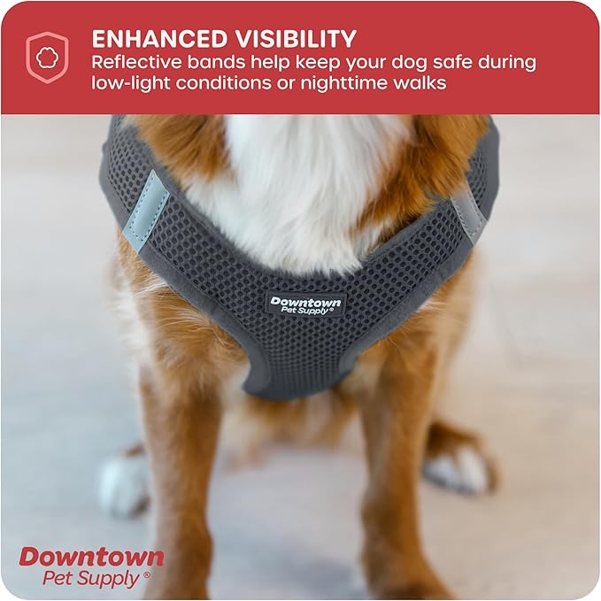 Downtown Pet Supply Step-in Dog Harness – No Pull, Adjustable Padded Mesh with Reflective Trim, Secure Buckle Strap – Comfortable & Breathable Small Dog Harness, Medium, Charcoal