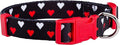 Native Pup Valentine Dog Collar - Valentine's Day Pet Collar - Girly Hearts - Pink & Red Heart - Cute Boy & Girl Puppy Gift - Adjustable for Small, Medium, Large Breeds (White & Red Hearts, Medium)