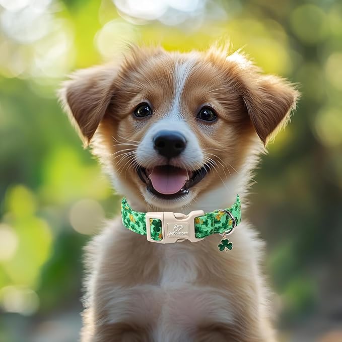 St. Patrick's Day Dog Collar for Small Dogs - Green Shamrock & Yellow Flower Print Dog Collars, Cute Irish Party Puppy Collar, Lightweight Adjustable St. Patricks Day Pet Collars XS