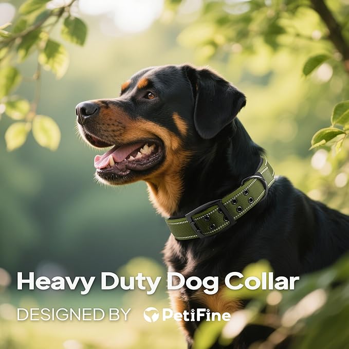 PetiFine Dog Collar for Large Dogs, Neoprene Padded and Adjustable, Reflective Wide Heavy Duty Pet Collars with Durable Metal Belt Buckle for Walking, Green, XL
