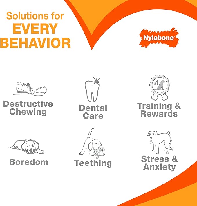 Nylabone Original Bone Flexi Chew Toy for Dogs, Flexible Dog Toys for Moderate Chewers, Chicken Flavor, Small, 1 Count
