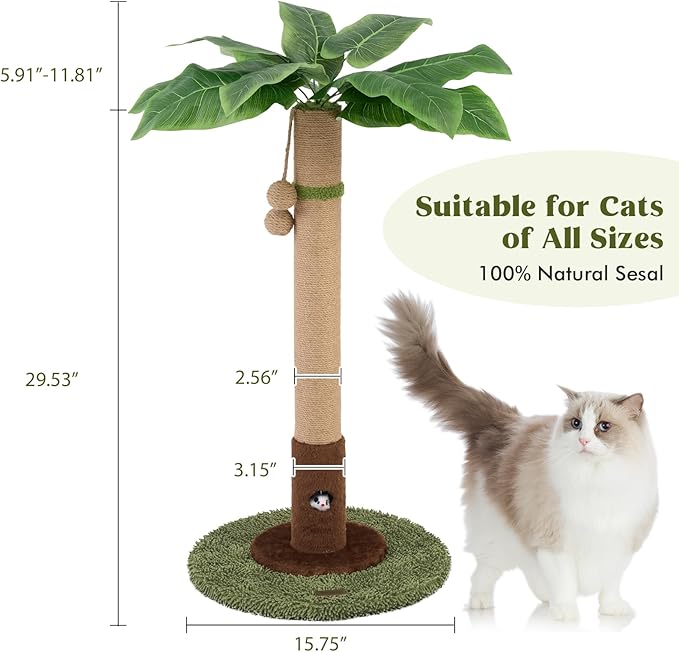 Cat Scratching Post for Indoor Cats and Kitten - 35.43" Tall Cat Scratching Post with Sisal Rope,Palm Tree Cat Scratch Post with Hanging Ball (35.4-Green, 35.4in)