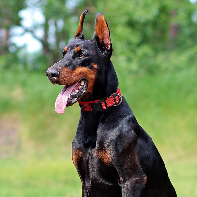 EXCELLENT ELITE SPANKER Reflective Dog Collar Classic Soft Padded Breathable Nylon Adjustable Pet Collar with Quick Release Buckle for Boy Girl Male Female Small Medium Large Dogs Training(Red-L)
