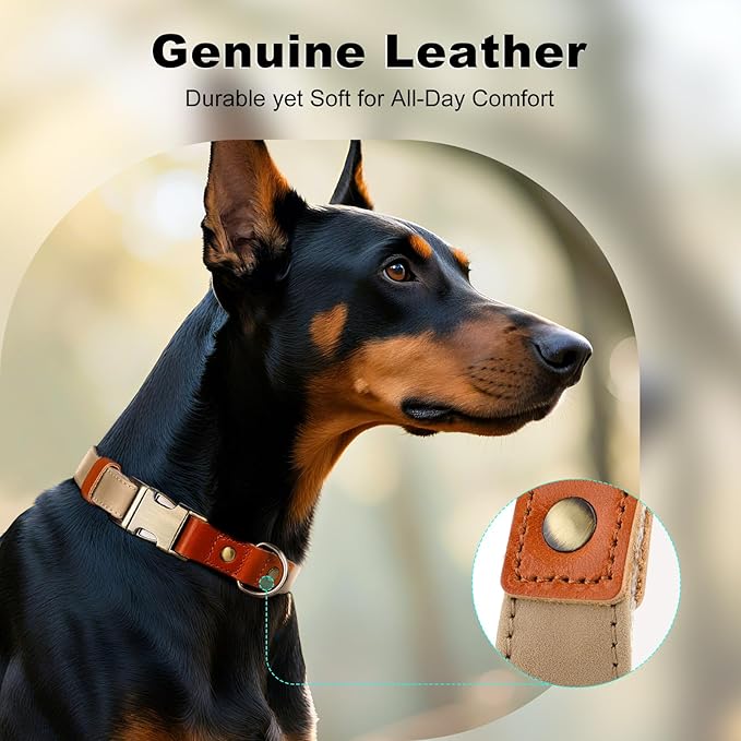 Plutus Pet Genuine Leather & Hemp Dog Collar – Adjustable Heavy Duty Pet Collar with Quick Release Metal Buckle, Soft & Stylish for Puppy and Small, Medium, Large Dogs (Beige, M)