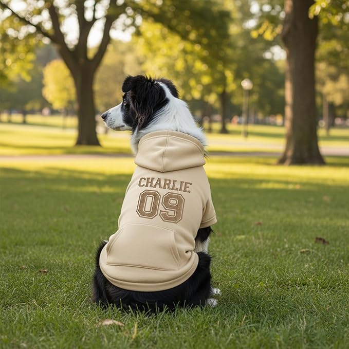 Personalized Dog Hoodie, Custom Embroidered Name Pet Hoodie, Warm Winter Outfit for Dogs, Pet Clothes, Gift for Dog Lovers 2