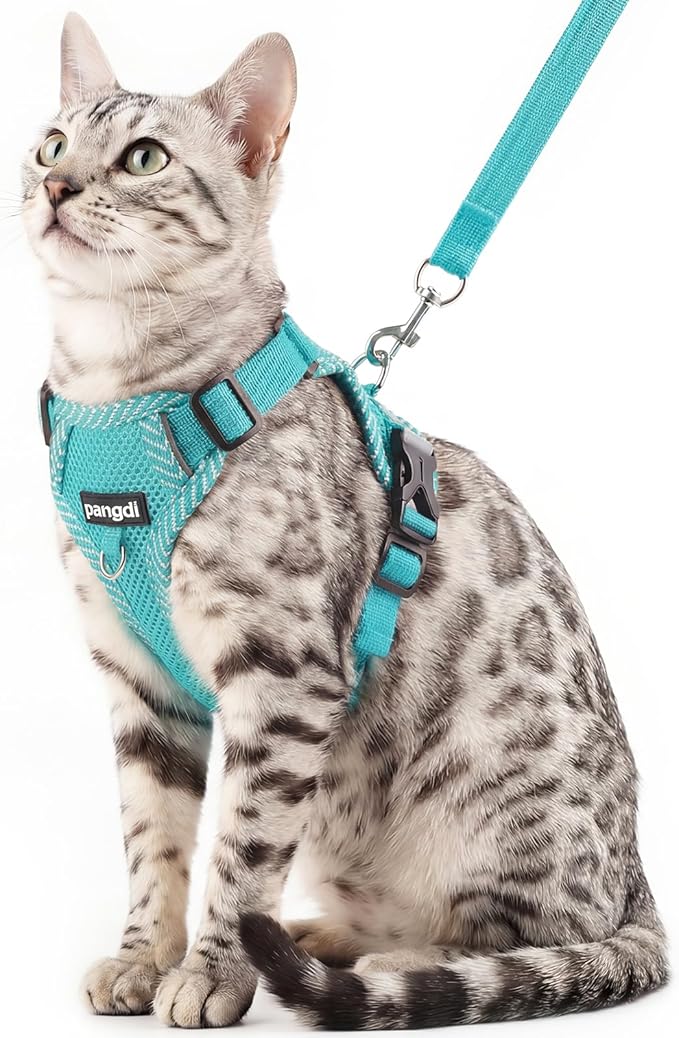Cat Harness and Leash Escape Proof Small Kitten Harness Abyssinian Cat Vest for Walking Travel, Turquoise, S