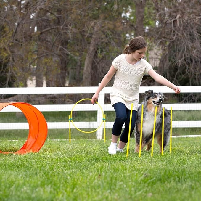 Outward Hound Zip & Zoom Outdoor Dog Agility Training Kit for Dogs