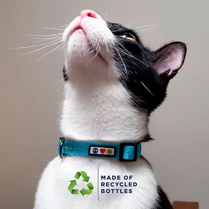 Pawtitas Recycled Black Reflective Cat Collar – Eco-Friendly Breakaway Safety Buckle, Adjustable Kitten & Adult Collar with Removable Bell and High-Visibility Strap