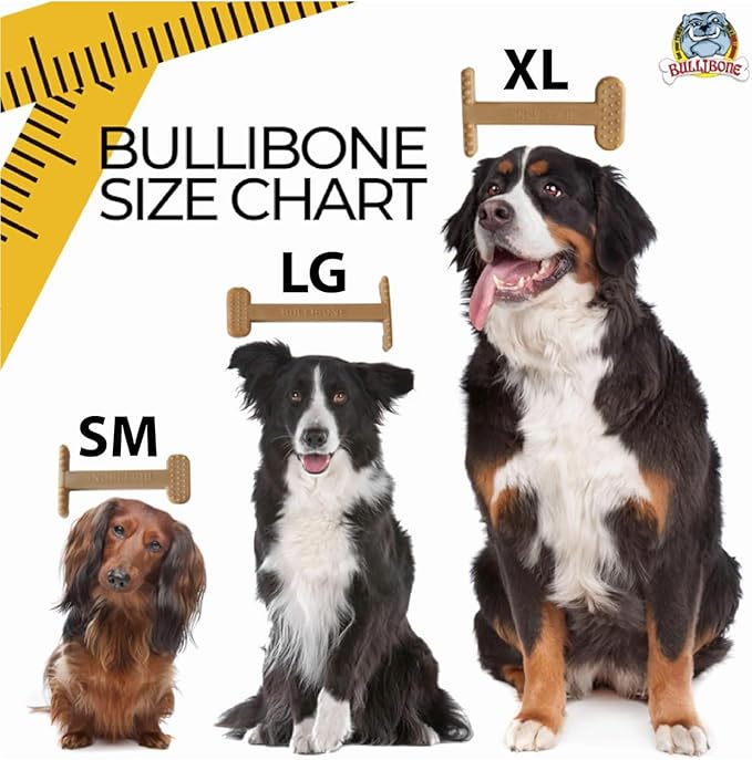 Bullibone Nylon Dog Chew Toy for Aggressive Chewers - Dental Hygiene Bone with Peanut Butter Flavor, Durable Tough Chew Toys for Small Dogs, Indestructible Dog Bone - 3 Pack