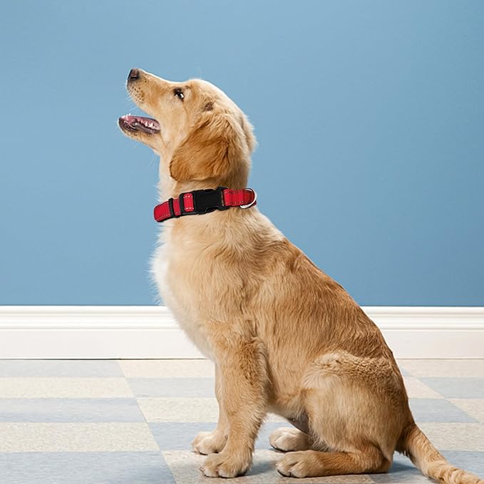 Reflective Dog Collar, Adjustable Soft Neoprene Padded Nylon Pet Collars with Buckle for Small Dogs, Red,S