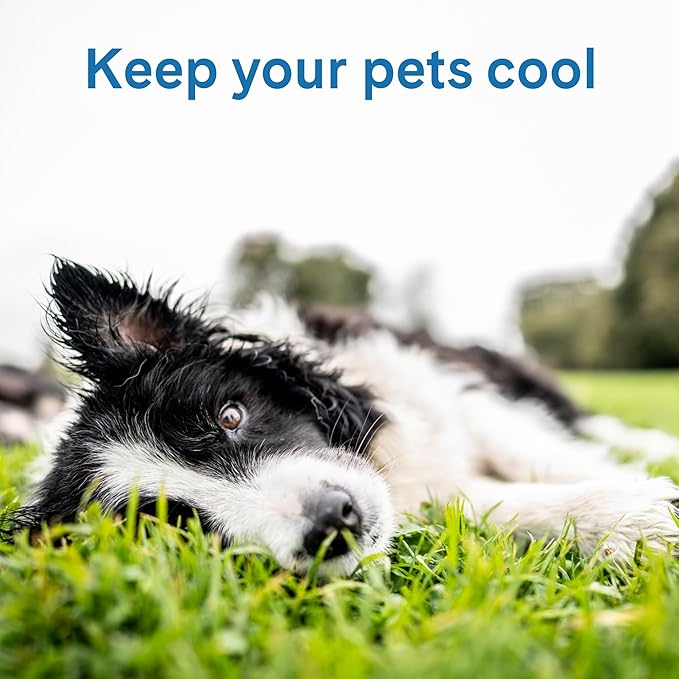 The Green Pet Shop Cool Pet Pad - Extra Large, Blue - Self-Cooling, Pressure Activated Mat for Dogs & Cats from 80+ lbs - Non-Toxic Gel, No Water Needed