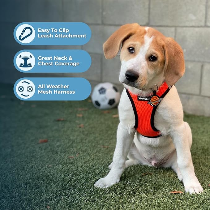 Best Pet Supplies Voyager Step-in Air All Weather Mesh Harness and Reflective Dog 5 ft Leash Combo with Neoprene Handle, for Small, Medium and Large Breed Puppies - Orange/Black Trim, Large