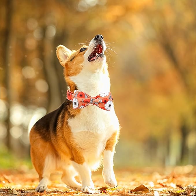 Fall Dog Collar, Pet Collar Bow Floral Pet Collar Girl Boy Holiday Pet Collars Gift Bow Cute Soft Puppy Collars for Medium