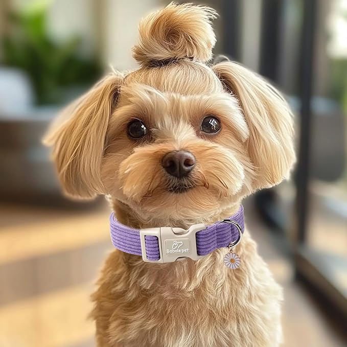 Cute Corduroy Dog Collar - Lavender Adjustable Dog Collars for X-Small Dogs 4-10lbs, Fade-Proof with Secure Snap & Little Charm, Christmas Birthday Gift, XS