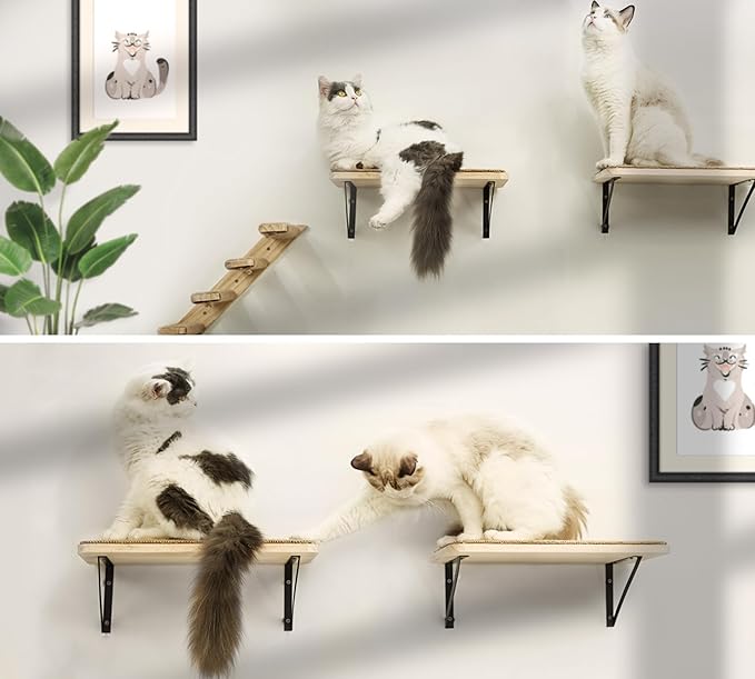2PCS Cat Wall Shelves with Scratching Mat, 16.6x9.7 Inch Cats Wall Furniture, Solid Pine Wood Kitten Wall Mounted Floating Shelf, Window Perch Hammock for Pets Sleeping, Playing, Climbing