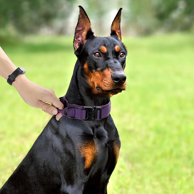 Tactical Dog Collar, Adjustable Military Training Nylon Dog Collar with Control Handle and Heavy Quick-Release Metal Buckle for Small Medium Large Dogs, Purple M