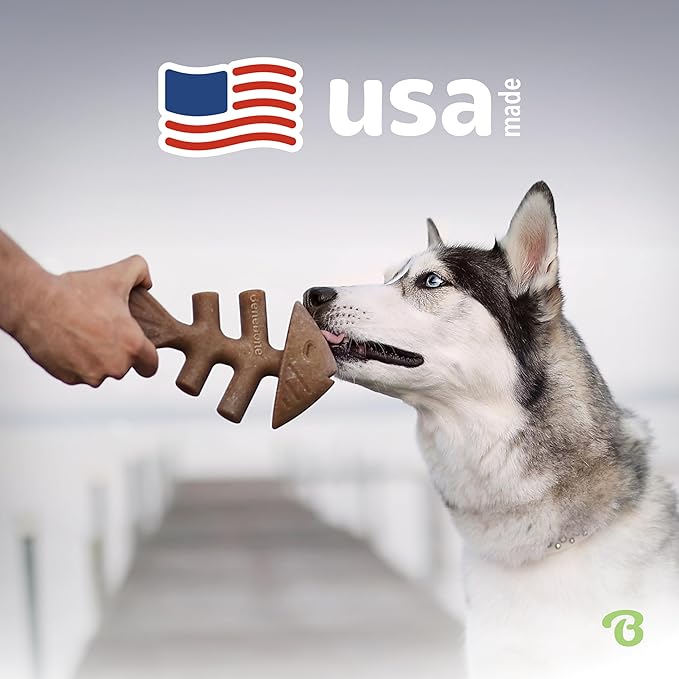 Benebone Fishbone Durable Dog Chew Toy for Aggressive Chewers, Real Fish, Made in USA, Small