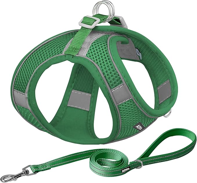 AIITLE Dog Harness, No-Pull Cat Harness with a Leash, Adjustable Reflective Dog Vest, Cat Harness Escape Proof, Outdoor Walking, Running,Training for Extra Small Dogs and House Cats Green XXXS