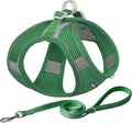 AIITLE Comfortable Dog Harness and Leash Set for Walking - Step in Vest Harness,Reflective Bands, Adjustable No Pull Puppy Essentials, for Small Dogs and House Cats Green XS