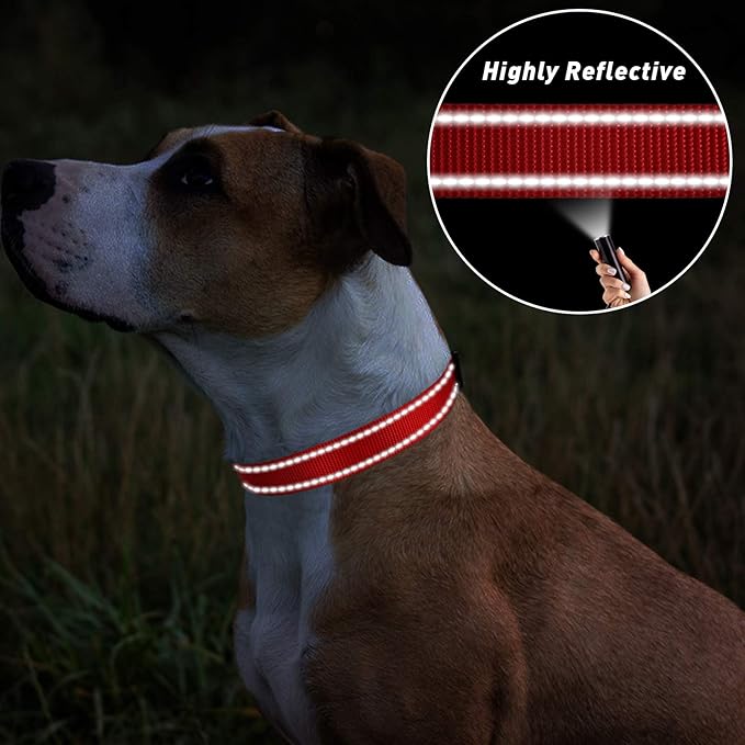 TagME Reflective Nylon Dog Collars, Adjustable Classic Pet Collar with Quick Release Buckle for Medium Dogs, Red, 1.0" Width