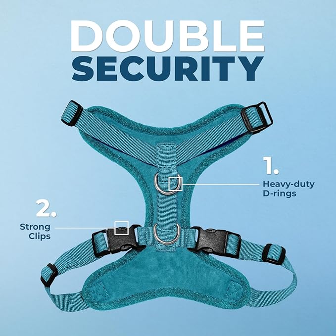 Voyager Step-in Pet Harness - All Weather Mesh, Adjustable Step in Harness for Cats and Dogs by Best Pet Supplies - Turquoise, M