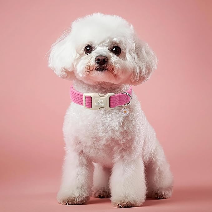 Cute Corduroy Dog Collar - Deep Rose Adjustable Dog Collars for X-Small Dogs 4-10lbs, Fade-Proof with Secure Snap & Little Charm, Christmas Birthday Gift, XS