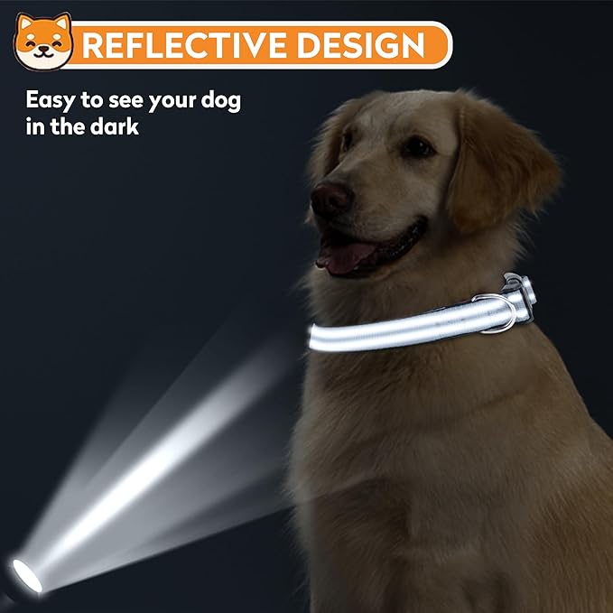 Reflective Dog Collar, Adjustable Soft Neoprene Padded Nylon Pet Collars with Buckle for Puppy and Small Dogs, Cats, Gray,XS
