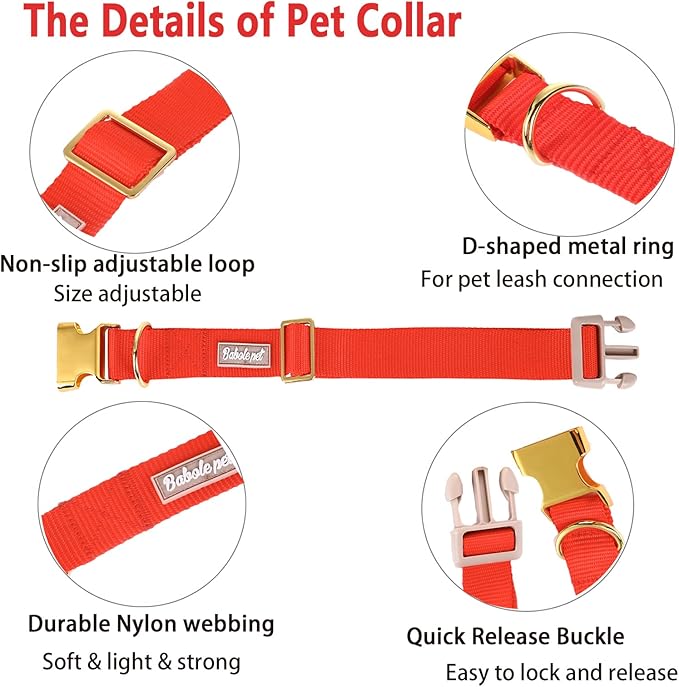 Nylon Dog Collar - Adjustable Red Soft Webbing Dog Collars for Small Medium Large Dogs Boy Girl Puppy Collar with Safety Metal Buckle S