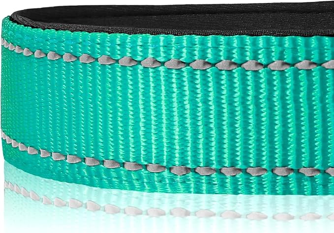 Joytale Reflective Dog Collar, Soft Neoprene Padded, Metal D-Ring, Nylon Pet Collar Adjustable for Medium Dogs, Teal, M