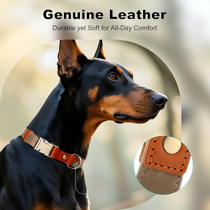 Plutus Pet Genuine Leather & Hemp Dog Collar – Adjustable Heavy Duty Pet Collar with Quick Release Metal Buckle, Soft & Stylish for Puppy and Small, Medium, Large Dogs (Ash Brown, S)