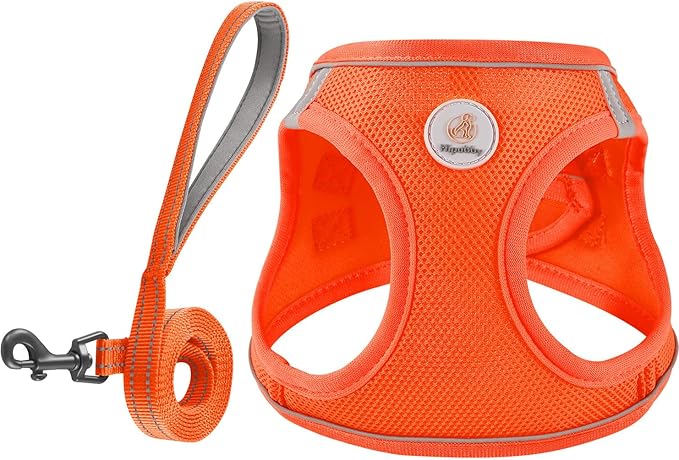 Hipubby Dog Harness and Leash Set, No Pull Soft Mesh Puppy Harness for Small Medium Dogs, Cats - Step in Reflective Breathable Lightweight Vest Harness for Walking, Training - Orange, M
