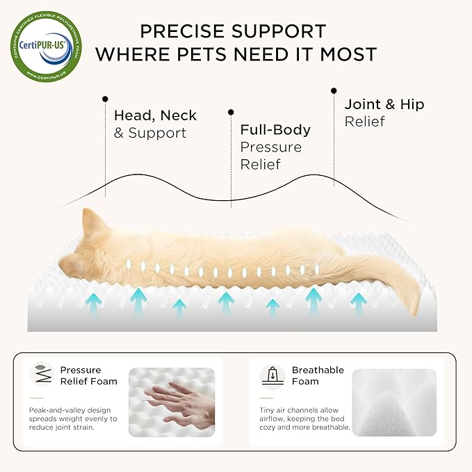Bedsure Dog Bed for Small Dogs - XS Comfy Flat Puppy Beds with Removable Washable Cover, Orthopedic Egg Crate Foam Pet Mat, Suitable for Pet or Cats Up to 10 lbs