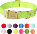 Nylon Dog Collar - Adjustable Fluorescent Green Soft Webbing Dog Collars for Small Medium Large Dogs Boy Girl Puppy Collar with Safety Metal Buckle XL