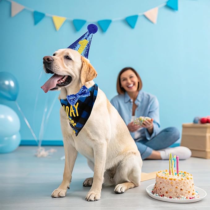 EXPAWLORER Dog Birthday Party Supplies - Dog Birthday Bandana Scarf and Party Hat with Numbers Boy Girl Pet Bow Tie, Cute Outfit for Small Medium Large Dogs (X-Large)
